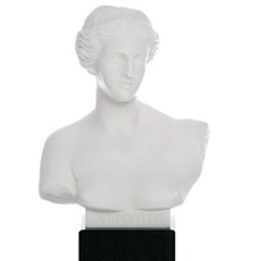 bust 12