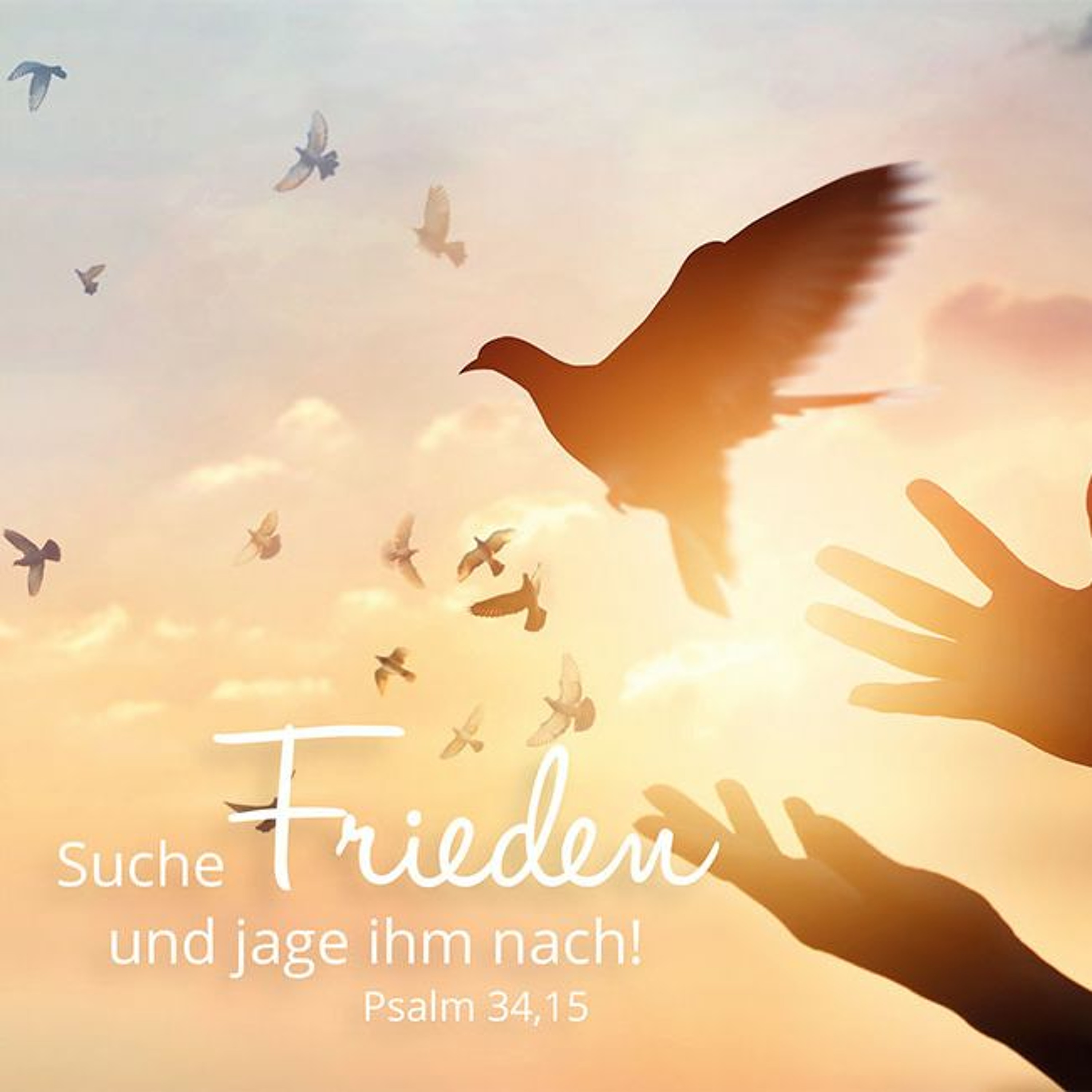 Predigten Friedenskirche Bad Tatzmannsdorf