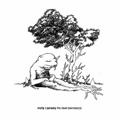 Mchy i Porosty - Memetic Magic Of X [Kikimora Tapes]