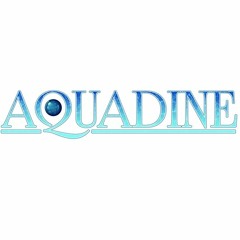 Aquadine VN Score- Tranquility (Live Version 2020)