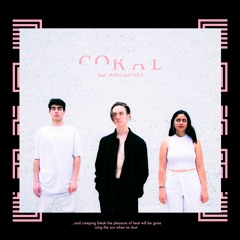 Voux - Coral (feat Maru and FEELS)