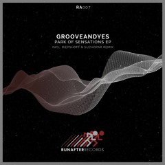 PREMIERE: GrooveANDyes -  Park Of Sensations [Run After Records]