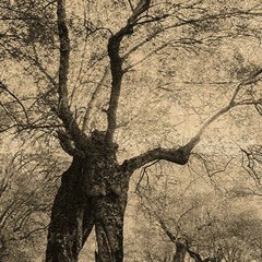 Meditation To The Sound Of The Heartbeat