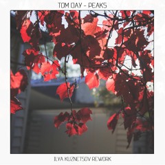 Tom Day - Peaks (Ilya Kuznetsov Rework)
