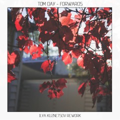 Tom Day - Forwards (Ilya Kuznetsov Rework)