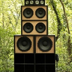 LIVELY UP DUBPLATE MIX