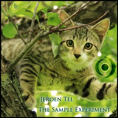 Jeroen Tel - The Sample Experiment