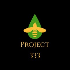 Project 333(Prod. By Jay.Oh.Ay)