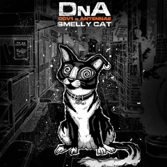 DnA (Dov1 & An-ten-nae) - Smelly Cat