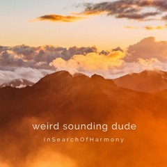 Premiere: Weird Sounding Dude - Harmony