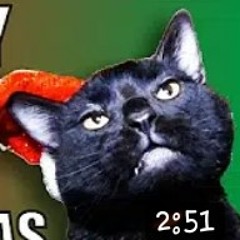 Why my kitty cat hates Christmas -song-
