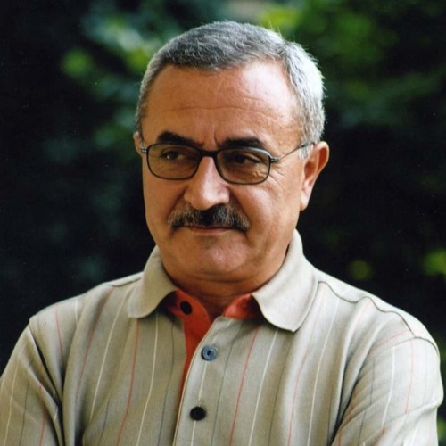 insanın Acısını insan Alır - Şürkü Erbaş