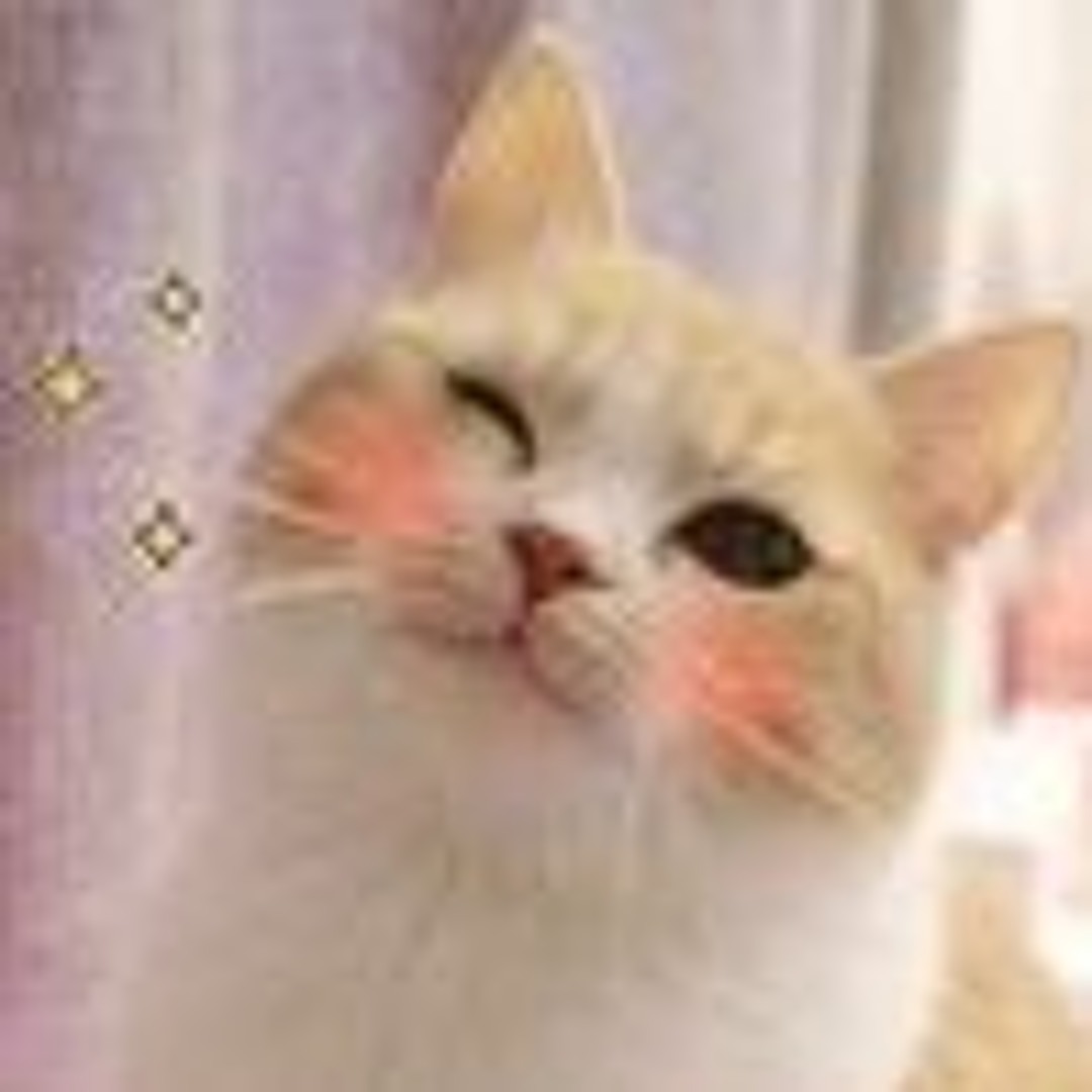 Игривая кошечка дожидается возбужденную подругу
