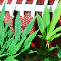 Fourth And Twenty Fantasy Football: Year in Review