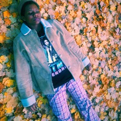 lay low