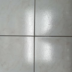 A Letter To A Siamese Cat (dubbed)