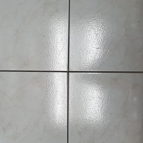 A Letter To A Siamese Cat (dubbed)