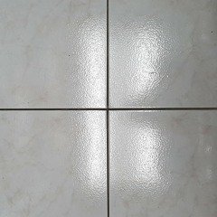 A Letter To A Siamese Cat (undubbed)