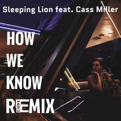 💥FREE DOWNLOAD💥 Sleeping Lion feat. Cass Miller - How We Know (Code - E Remix)