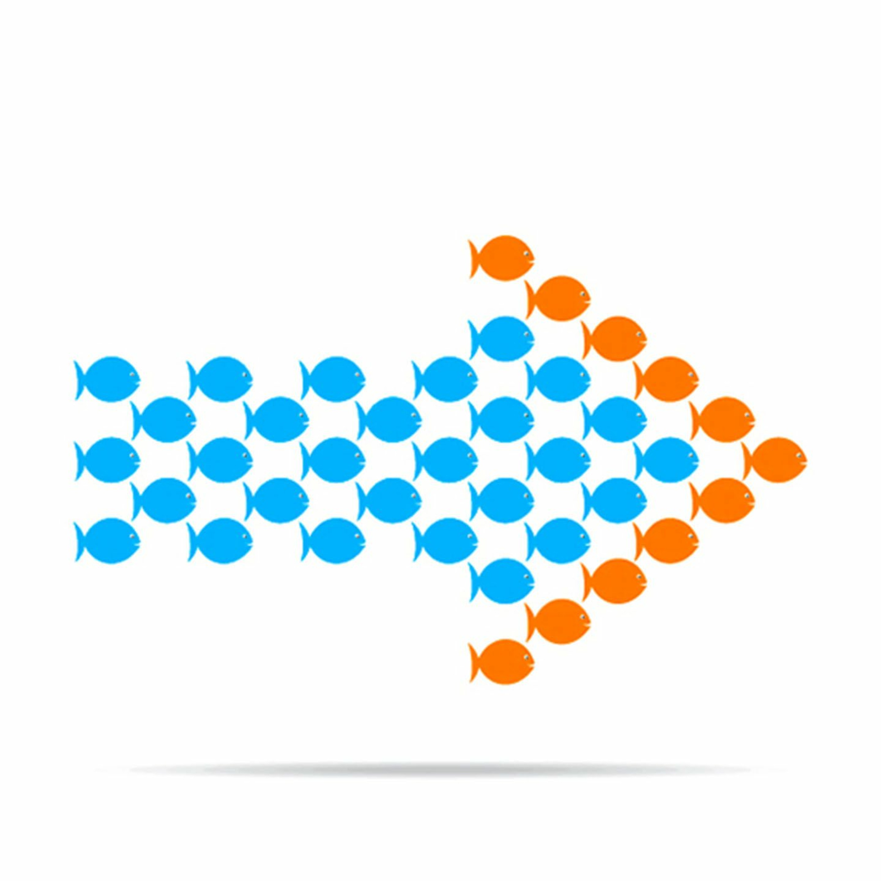 CIO Talk Network
