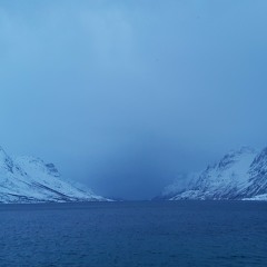 Aurorå