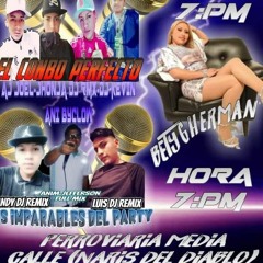 LOS IMPARABLES DEL PARTY - ANDY DJ REMIX - CUMBIAS POWER