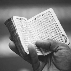 تعرّض لآيات القرآن لتُعيد ضبطك- د. أحمد عبد المنعم