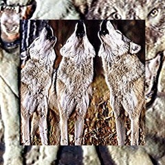 $uicideboy$ - $leepy Hollow