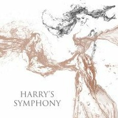 Joss Stone - Harry's Symphony (AGUSTIN R DnB Mix)