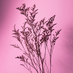 just (ft. Austin Paul & Bakery) (Demo)