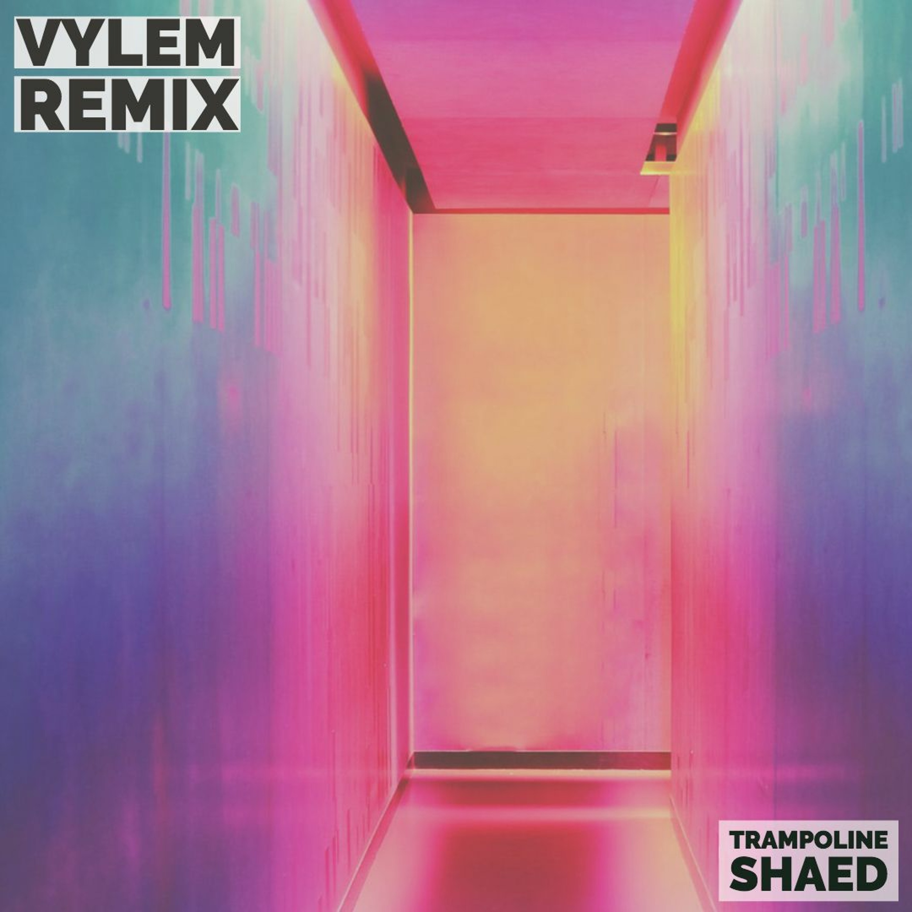 VYLEM