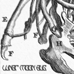 False Memories - Lunar Moon Bug