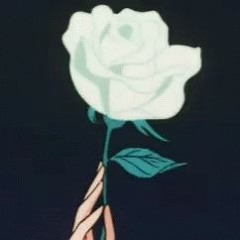 my kind of woman (mac demarco cover)