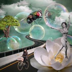 Megaspora - Ascensión