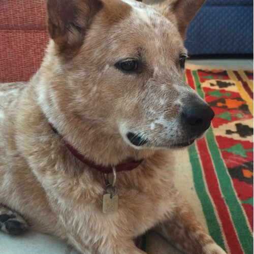 Good Man (Josh Ritter)