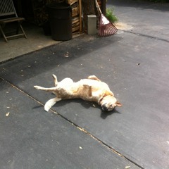 Fire Away (Chris Stapleton)