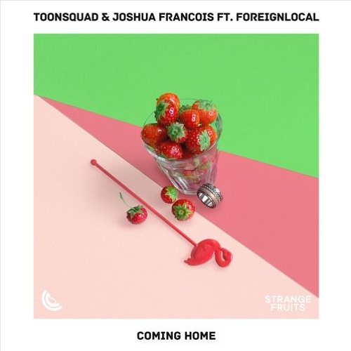 Toonsquad & Joshua Francois ft. Foreignlocal - Coming Home (Larsema Remix)