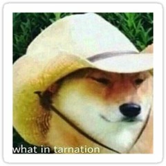 Mississippi Man -BEEOTTO, DJ CHIEF & DUDASH (prod. Greasy BOI)