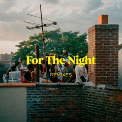 For The Night (Robin Yerah Rmx)