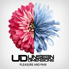 Unseen Dimensions - Pleasure & Pain