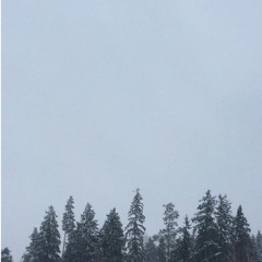 LEto.mp3 (ft awesome boi & kv1tt)