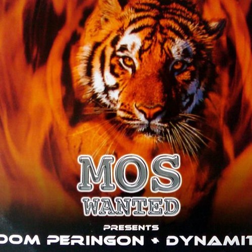 Dom Perignon and Dynamite - Hungry Tiger