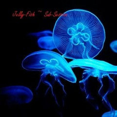 Jellyfish - Final Cut
