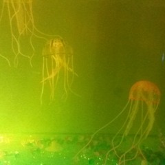 Holidays In The Future