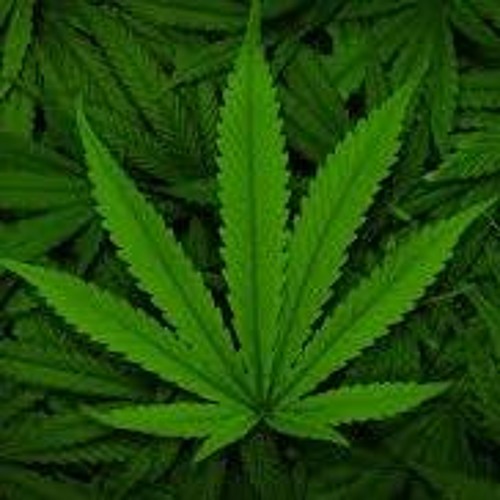 DeeP-rearrangement of the senses