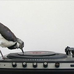 Mixtapes / Podcasts