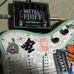 METAL MUFF sound test