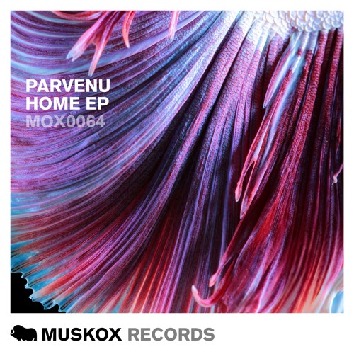 PARVENU - HOME (ORIGINAL MIX)