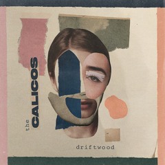 The Calicos - Driftwood