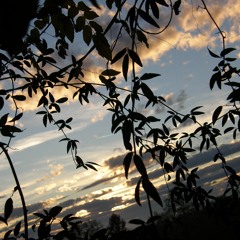 Alone Together (Dorothy Ashby) / Jazz - Hip Hop Remix